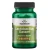 Suplement-diety-Swanson-Health-Products-probiotyki-kapsulki-60-szt.webp
